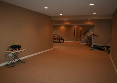Basements-Living